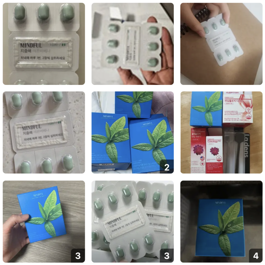 韓國 Foodology 地中海 檸檬馬鞭草 纖體丸｜Mindful Lemon Verbena and Hibiscus 500mg