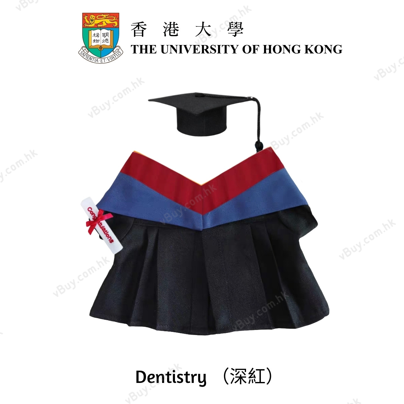 vBuy 訂製香港大學公仔畢業袍  HKU公仔畢業袍 港大公仔畢業袍可綉字綉名獨一無二 （不連公仔）