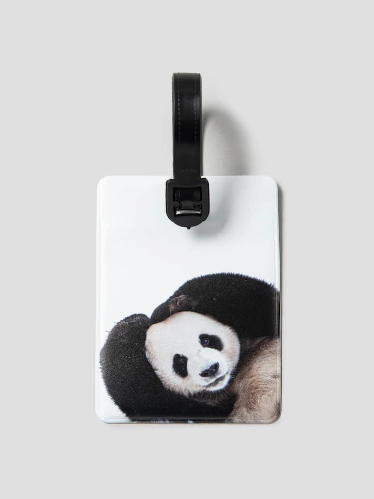 📦訂購 韓國代購 8seconds Bao Family 寶家族 Lebao 樂寶 行李牌