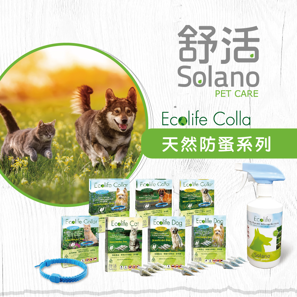 Solano｜Ecolife Collar 純天然犬用 (8-20kg) 驅蚤頸帶 (白色) (4個月有效)