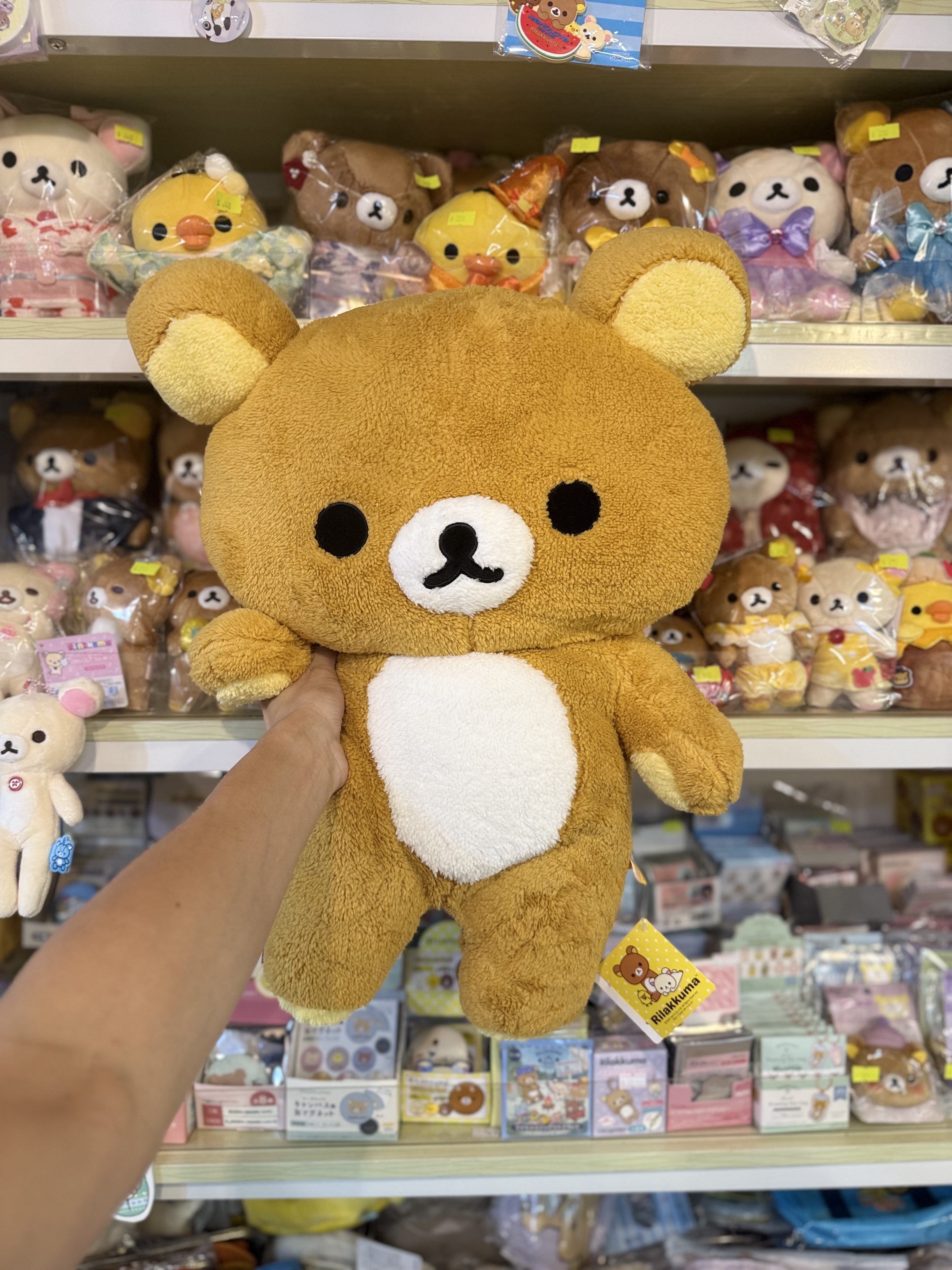 《現貨》日本景品Rilakkuma 鬆毛公仔