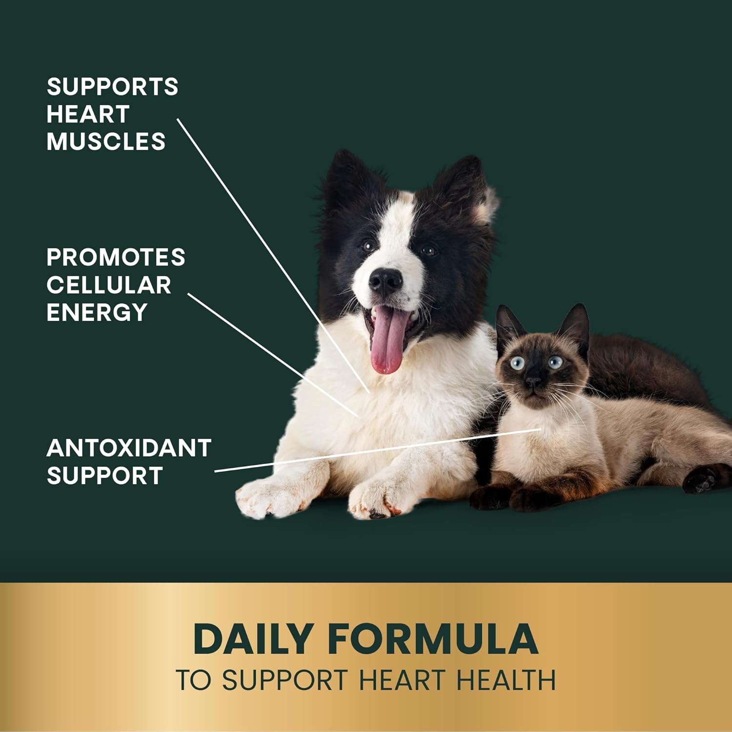 Vetri Science Coenzyme Q10 輔酶素 膠囊