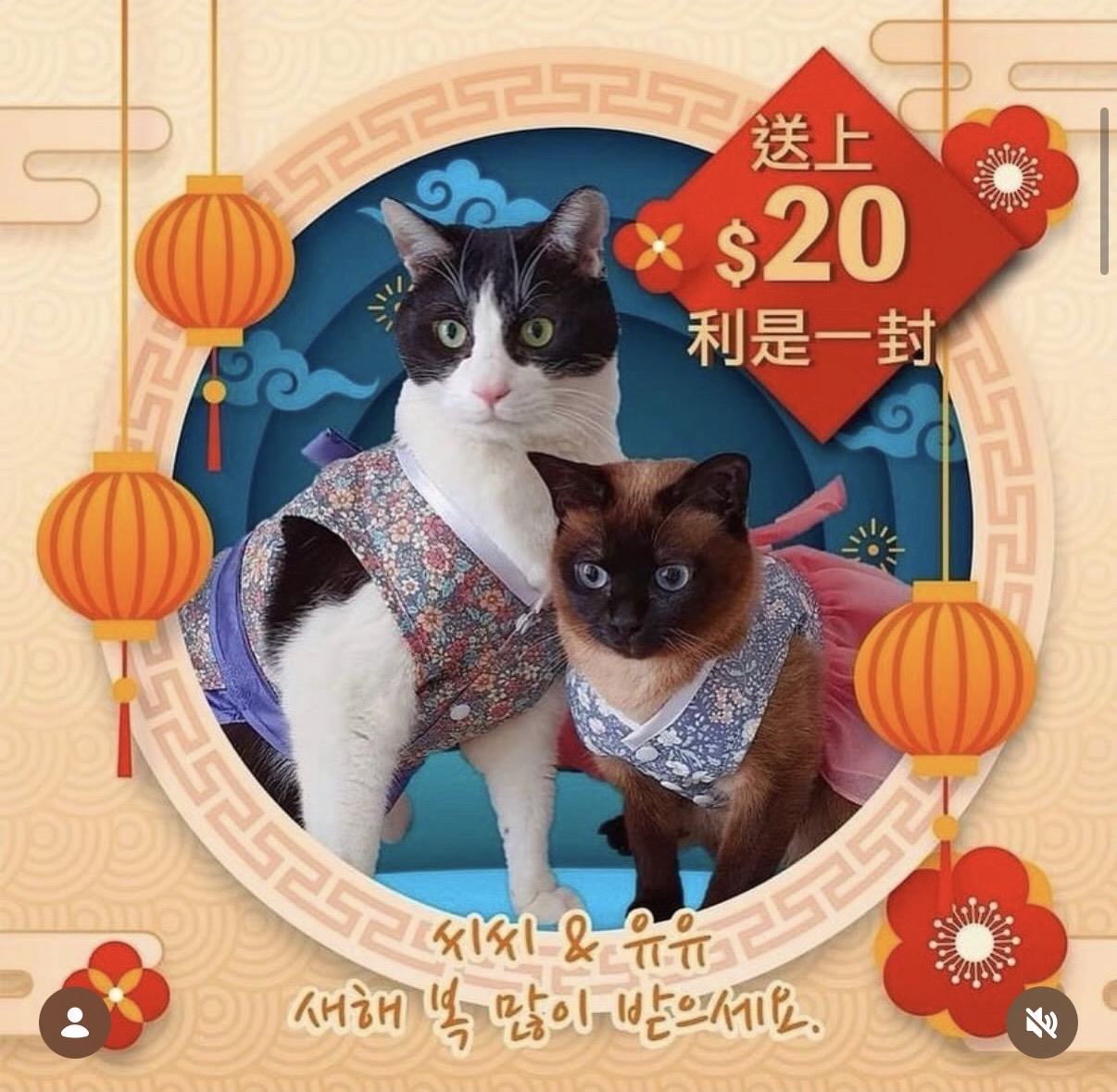 《  新春送上利是🧧 》