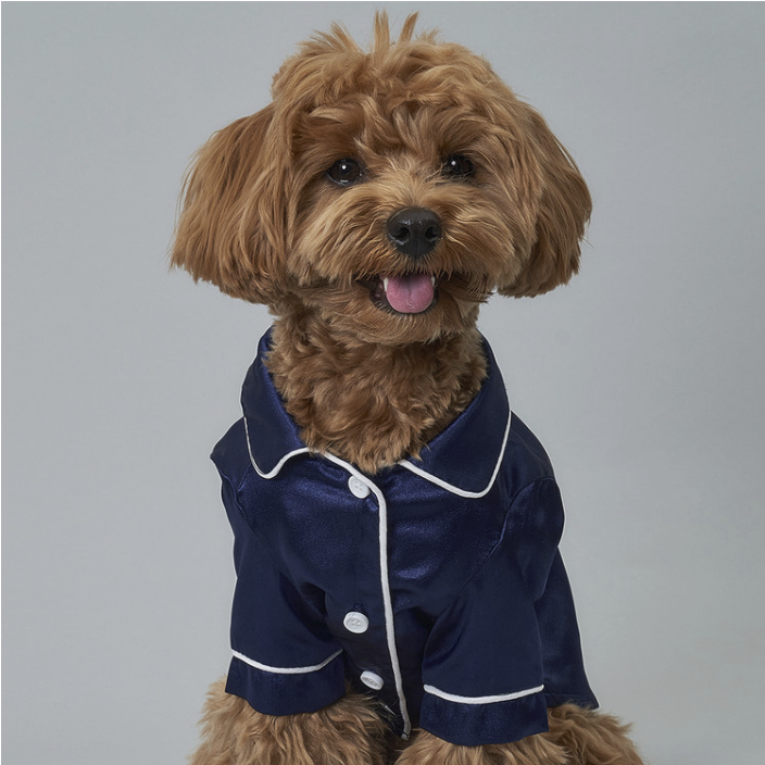 *SuperPet🇰🇷狗狗高級絲綢風睡衣