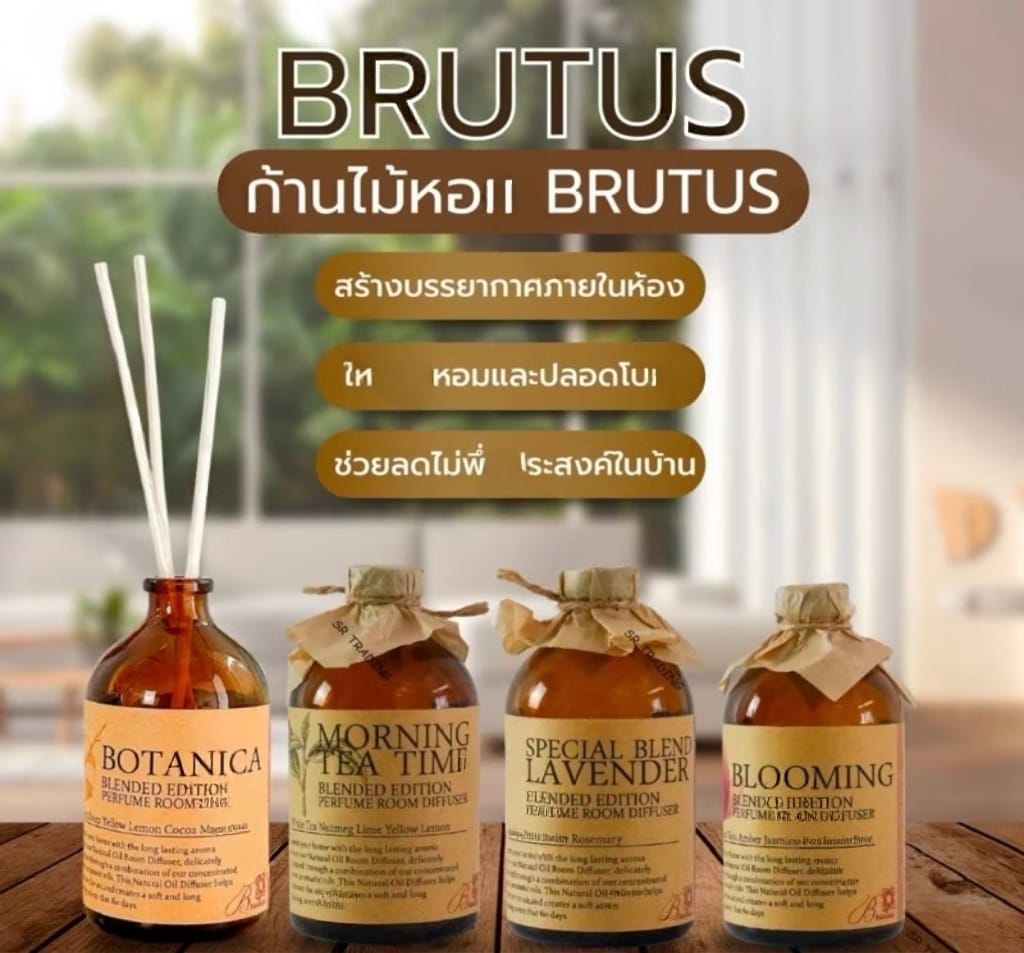 📦【泰國BRUTUS 香薰擴香瓶 | 家居香氣魔法師🪄🇹🇭】