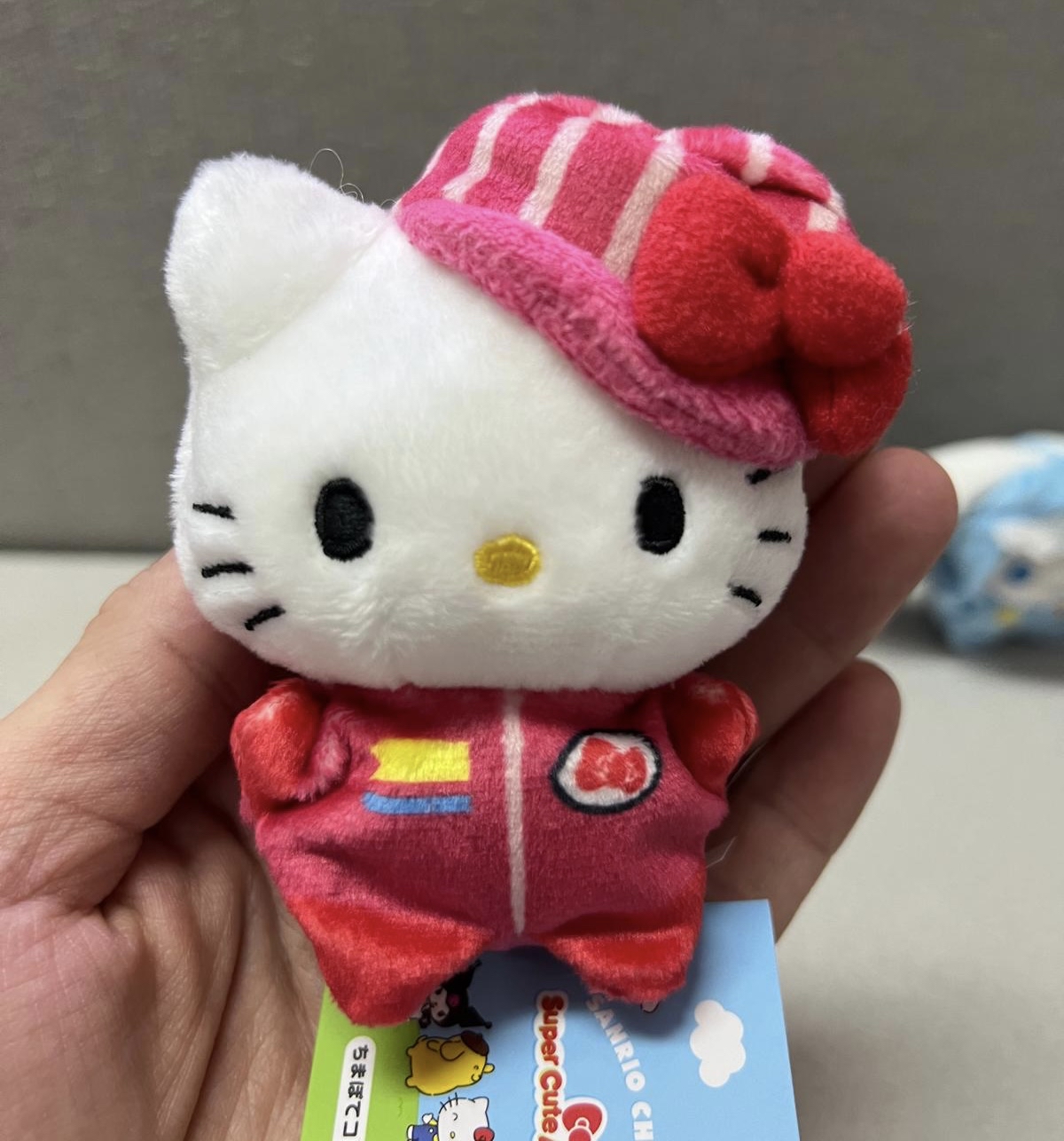 🎌日本直送🎌Sanrio 車手系列 豆袋公仔