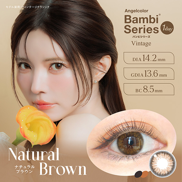 AngelColor Bambi Series - Natural Brown (1day/10P)