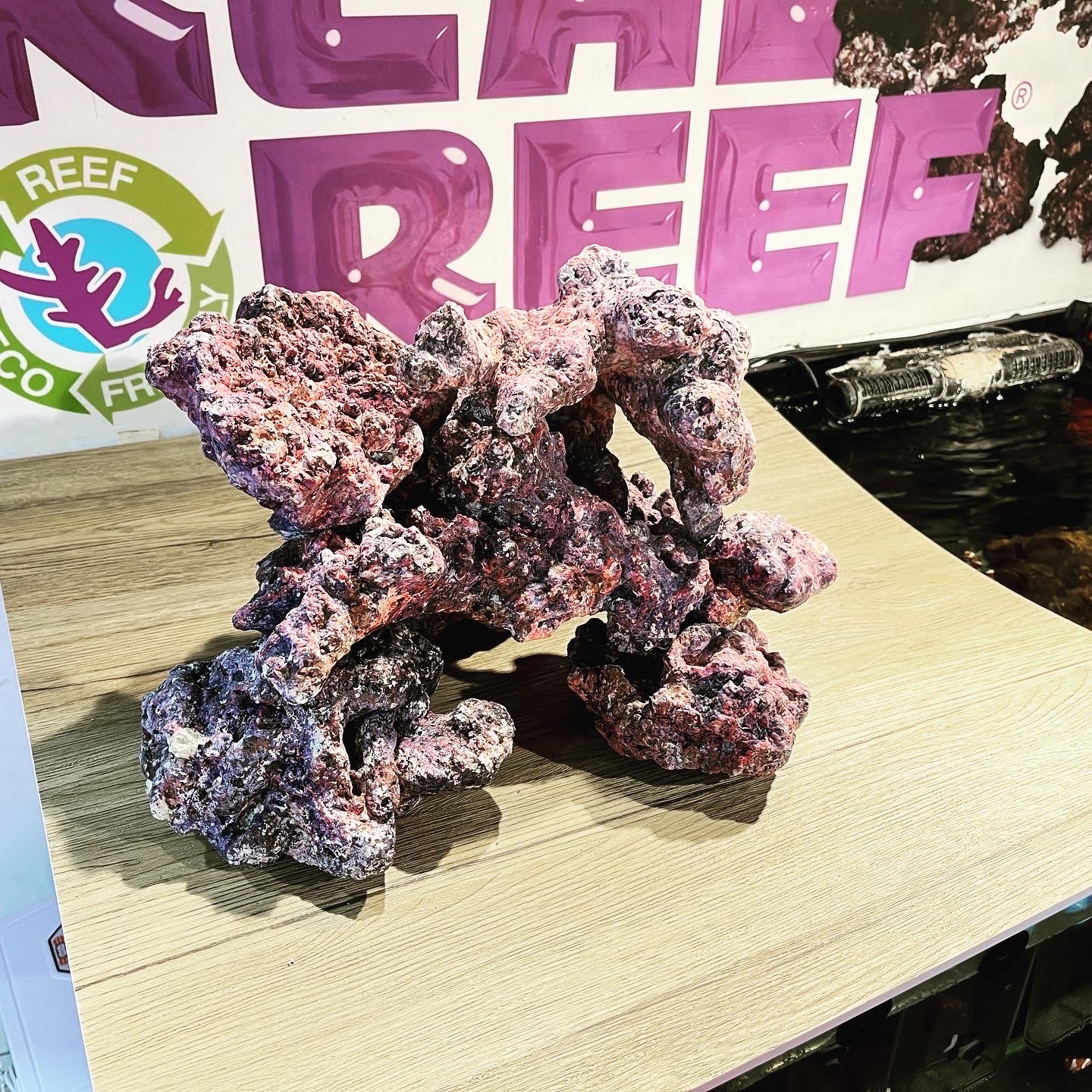 美國reel reef rock生物石, 寵物用品, 寵物家品及其他- Carousell