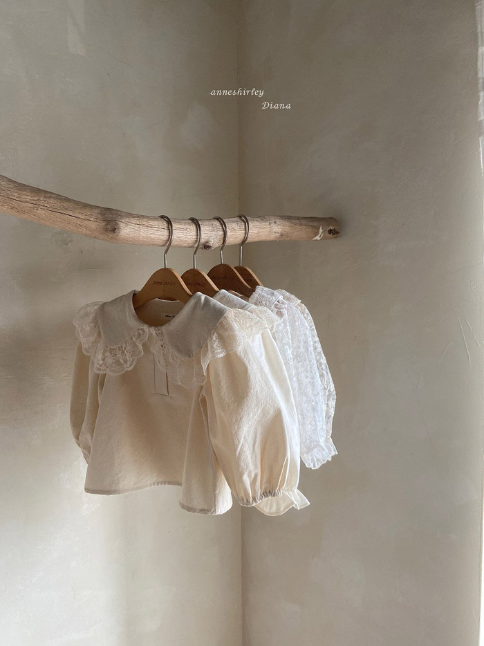 🇰🇷Anne shirley blouse