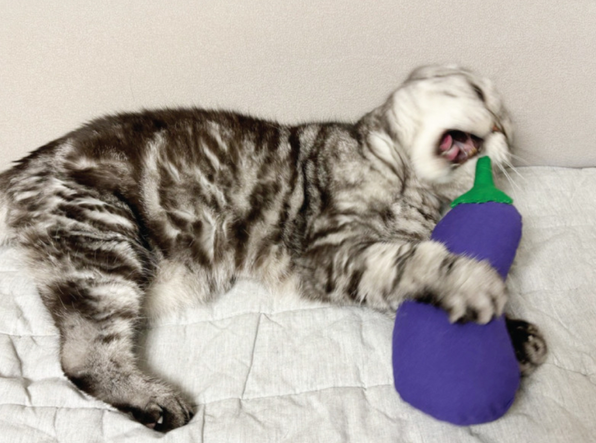 韓國🇰🇷 handmade 貓草 茄子cushion