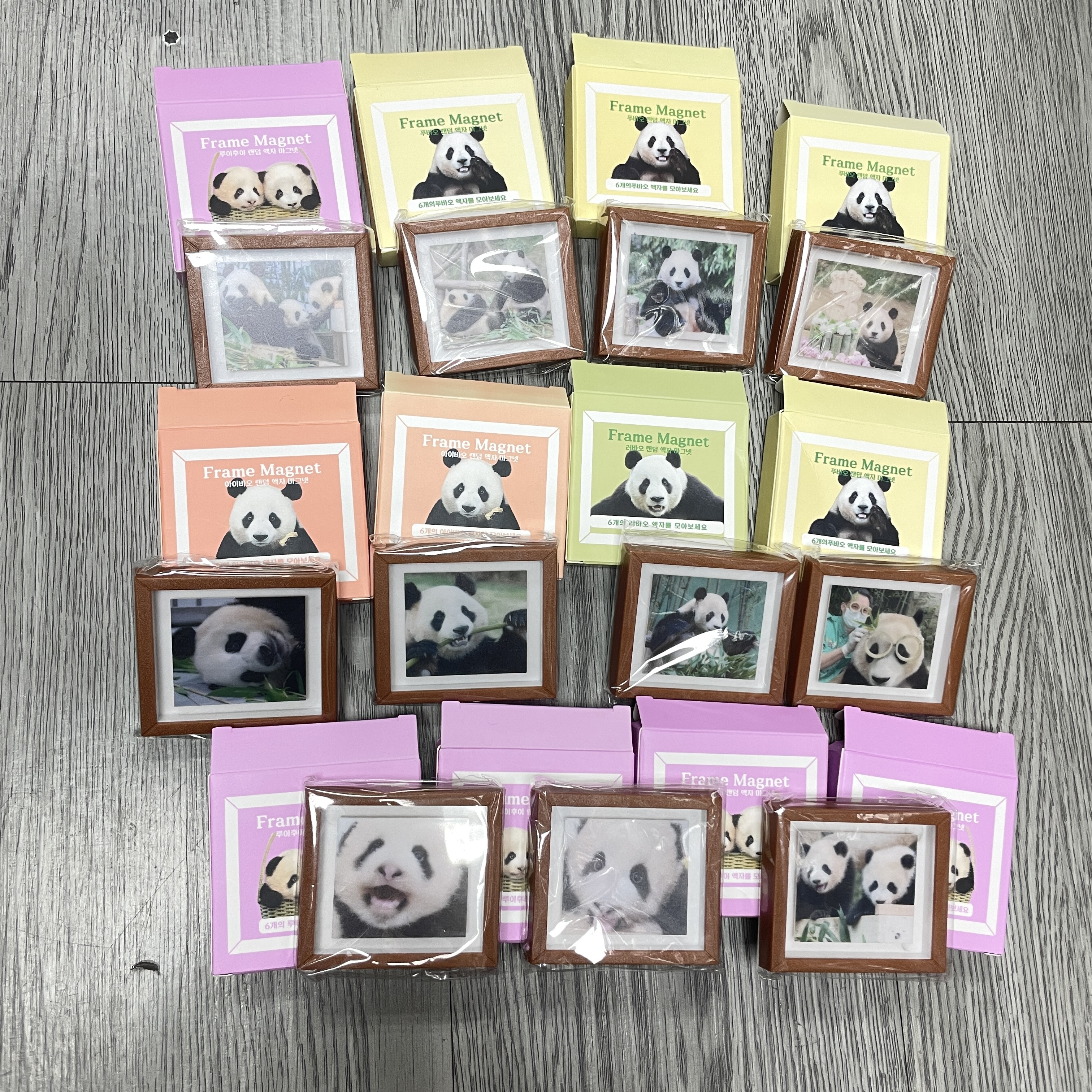 🎊期間優惠🎊 🈶現貨 韓國代購 愛寶樂園 Everland Bao Family 寶家族磁石