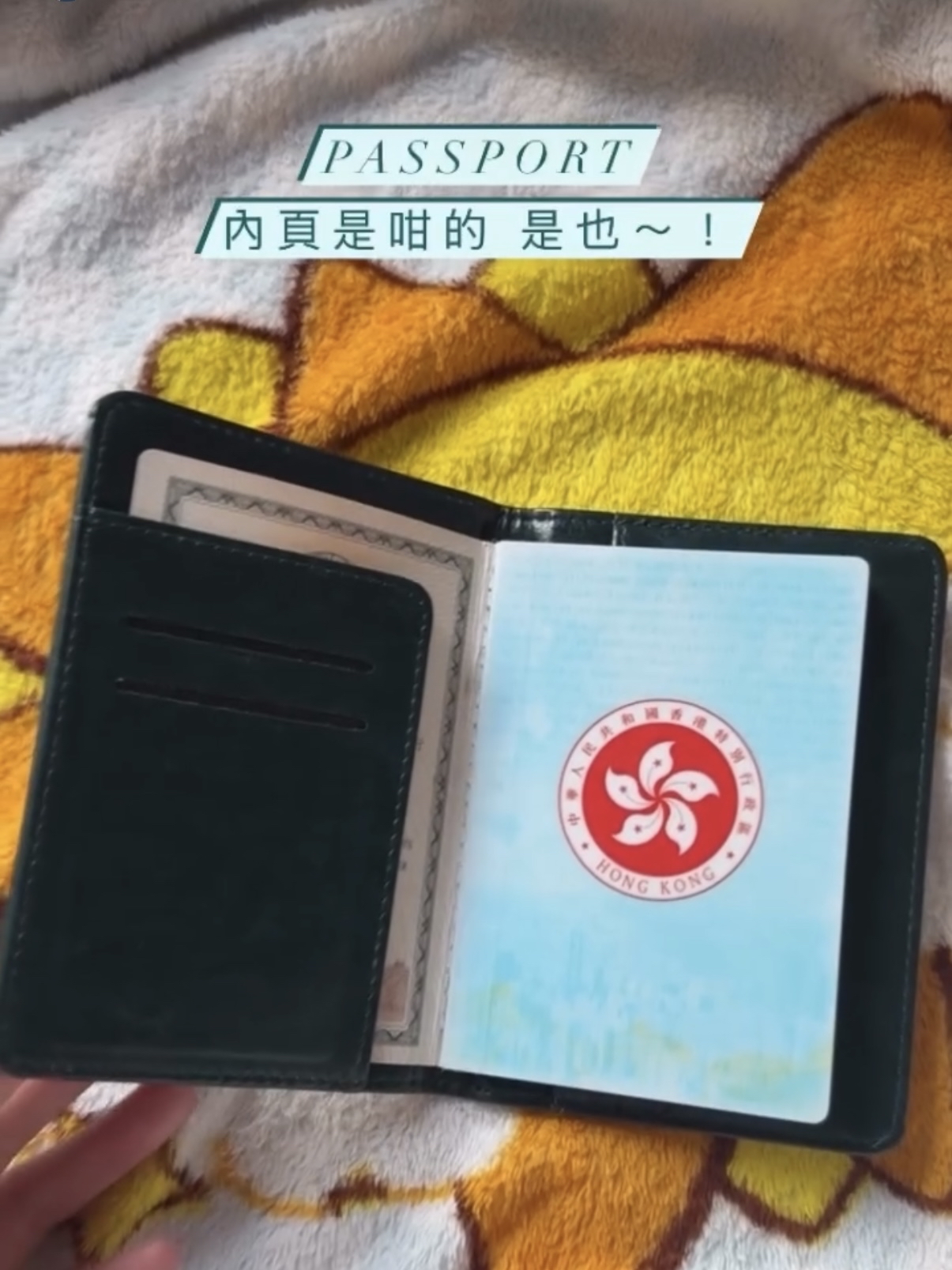 《補貨中》Keroro/雙子公主 燙金護照套