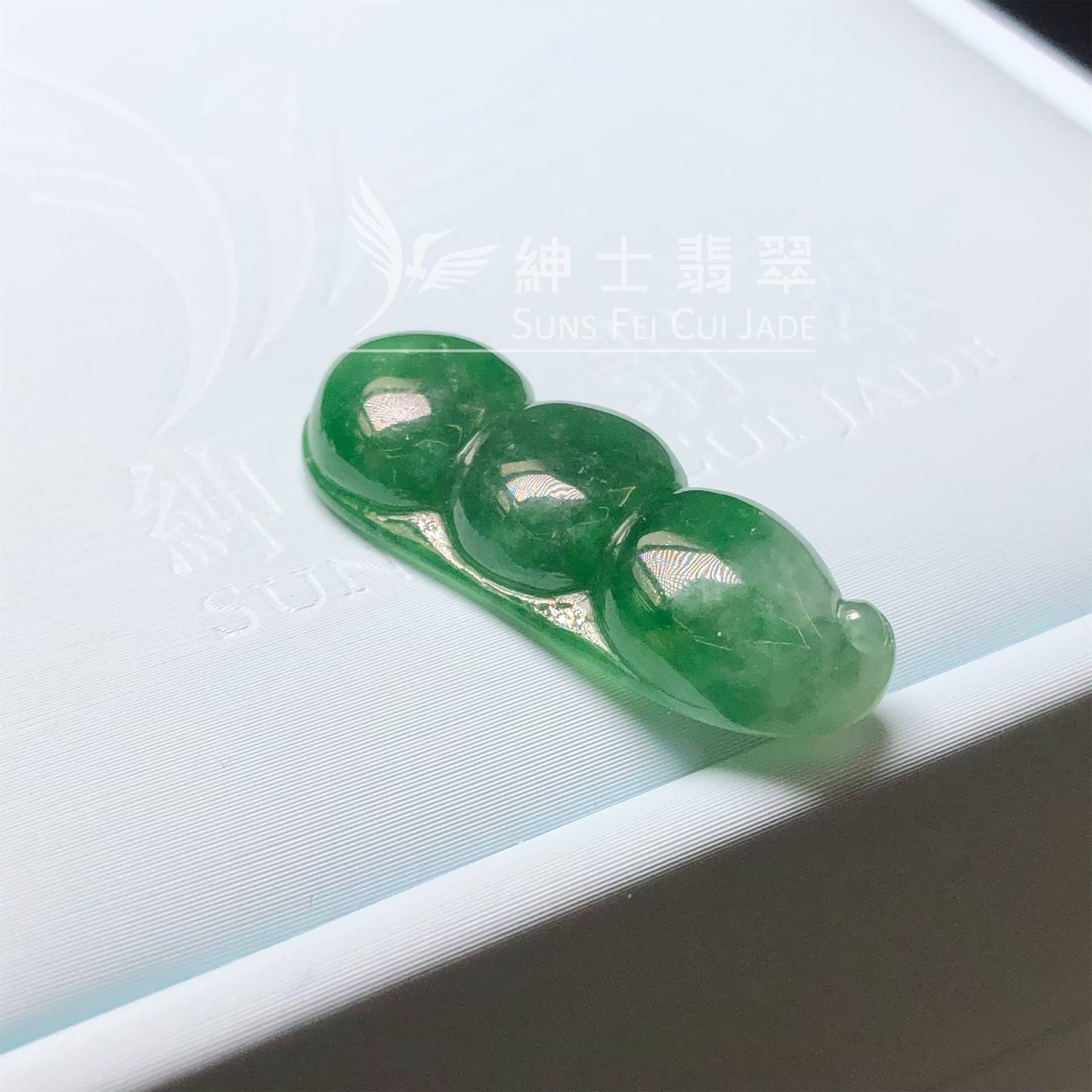 B08979 滿色福豆