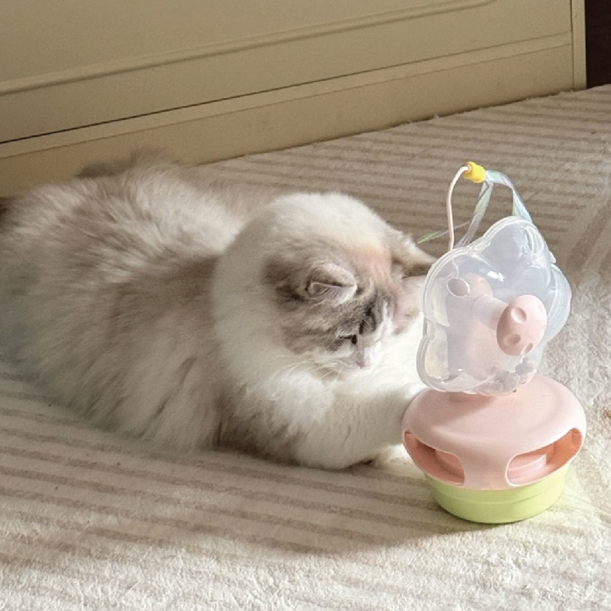 電動漏食羽毛逗貓玩具