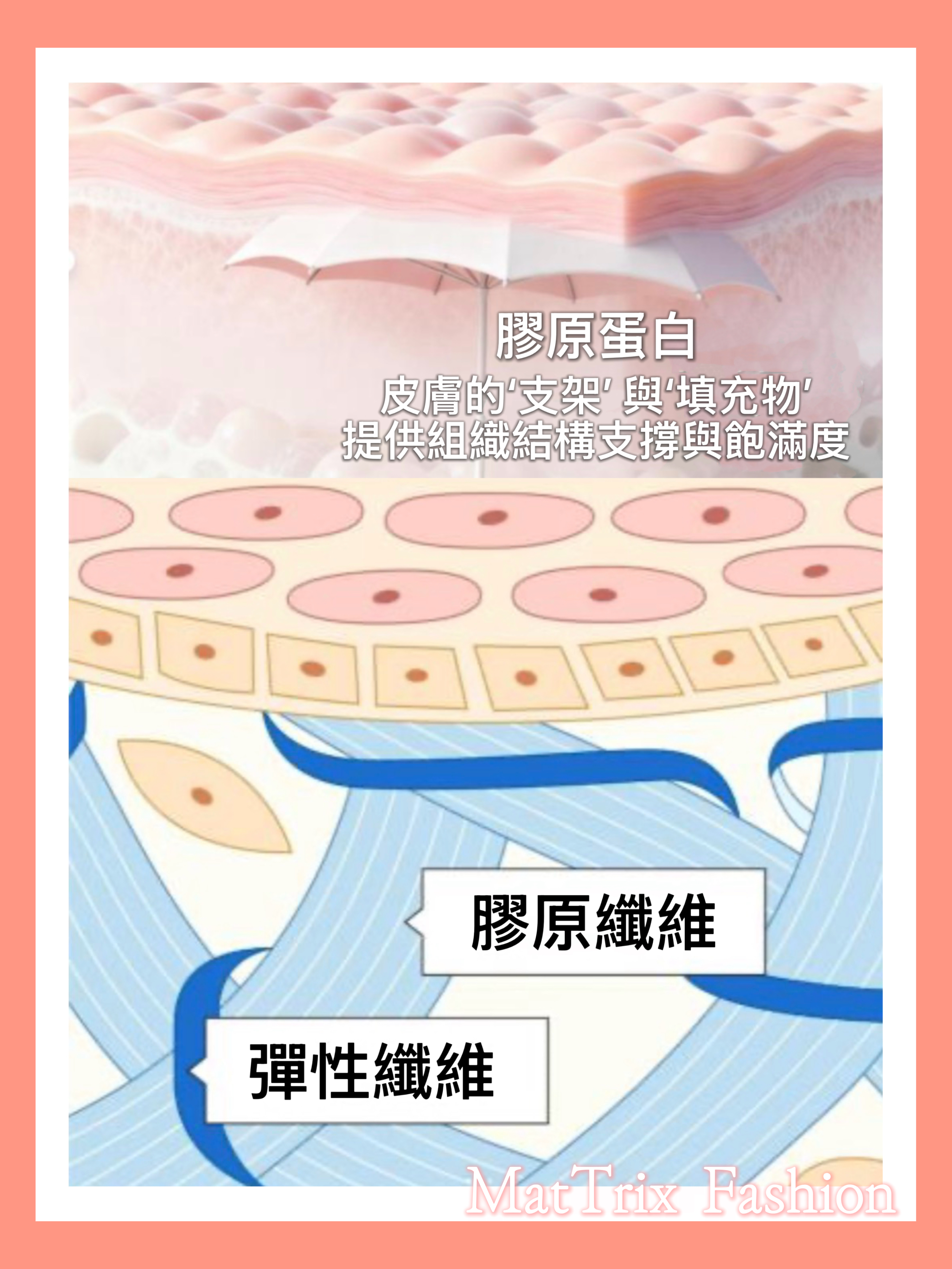 Lefilleo Dr.Innerplus Marine Collagen Hibiscus  Lefileo麗菲歐膠原蛋白逆齡飲6g x 30條/ 盒  