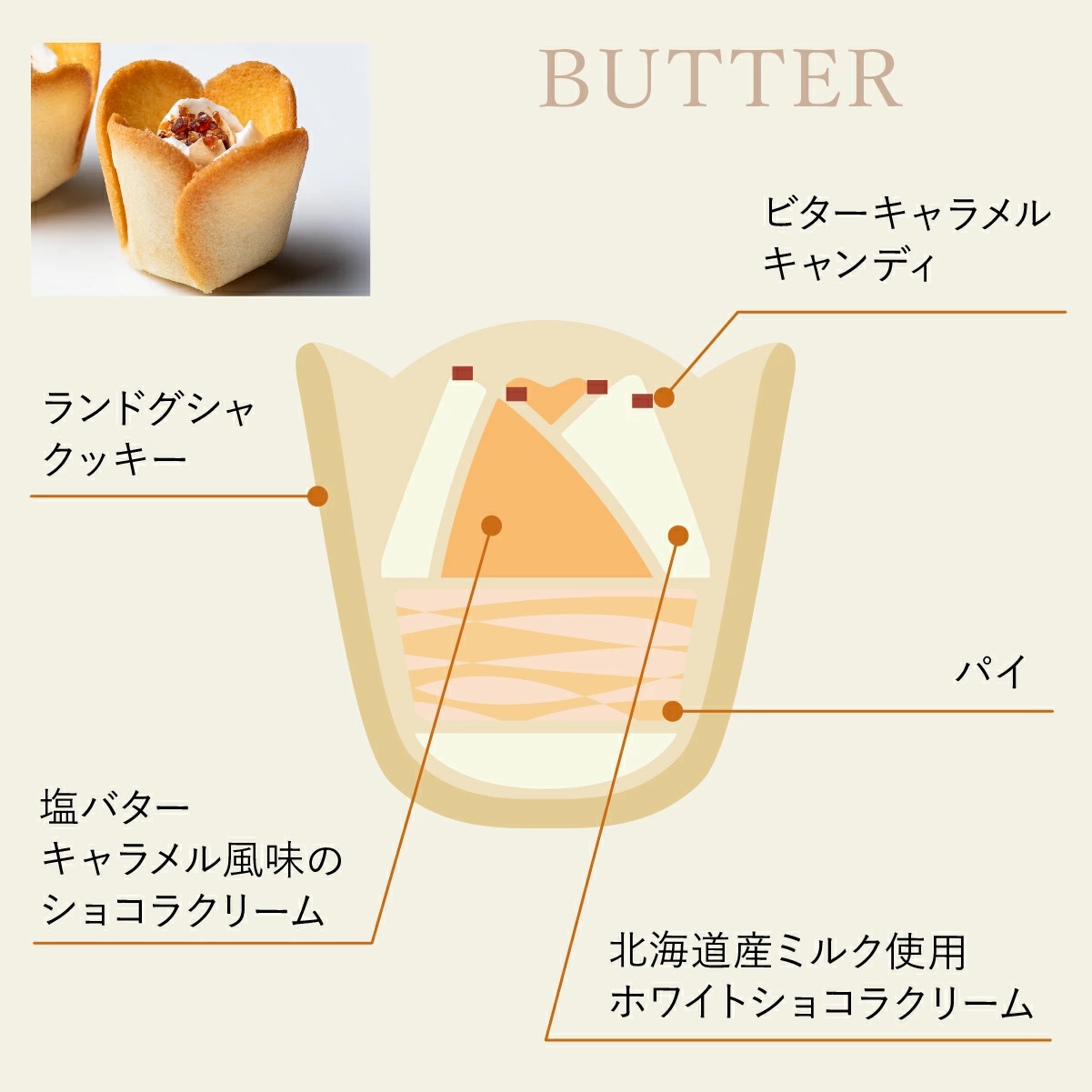 TULIP ROSE チューリップローズ in season　15袋入 - 01260330