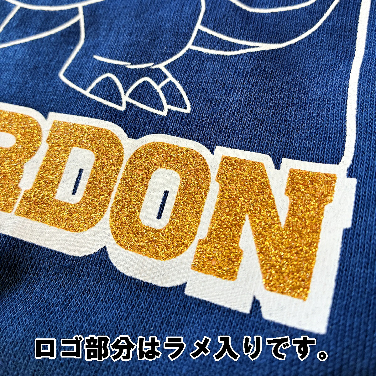 🆕【⭐訂購⭐】🌀 🇯🇵 日本直送 #Pokemon #Lizardon 束袖衛衣 ［2款選］🌀[PLJA-0209] [261123]
