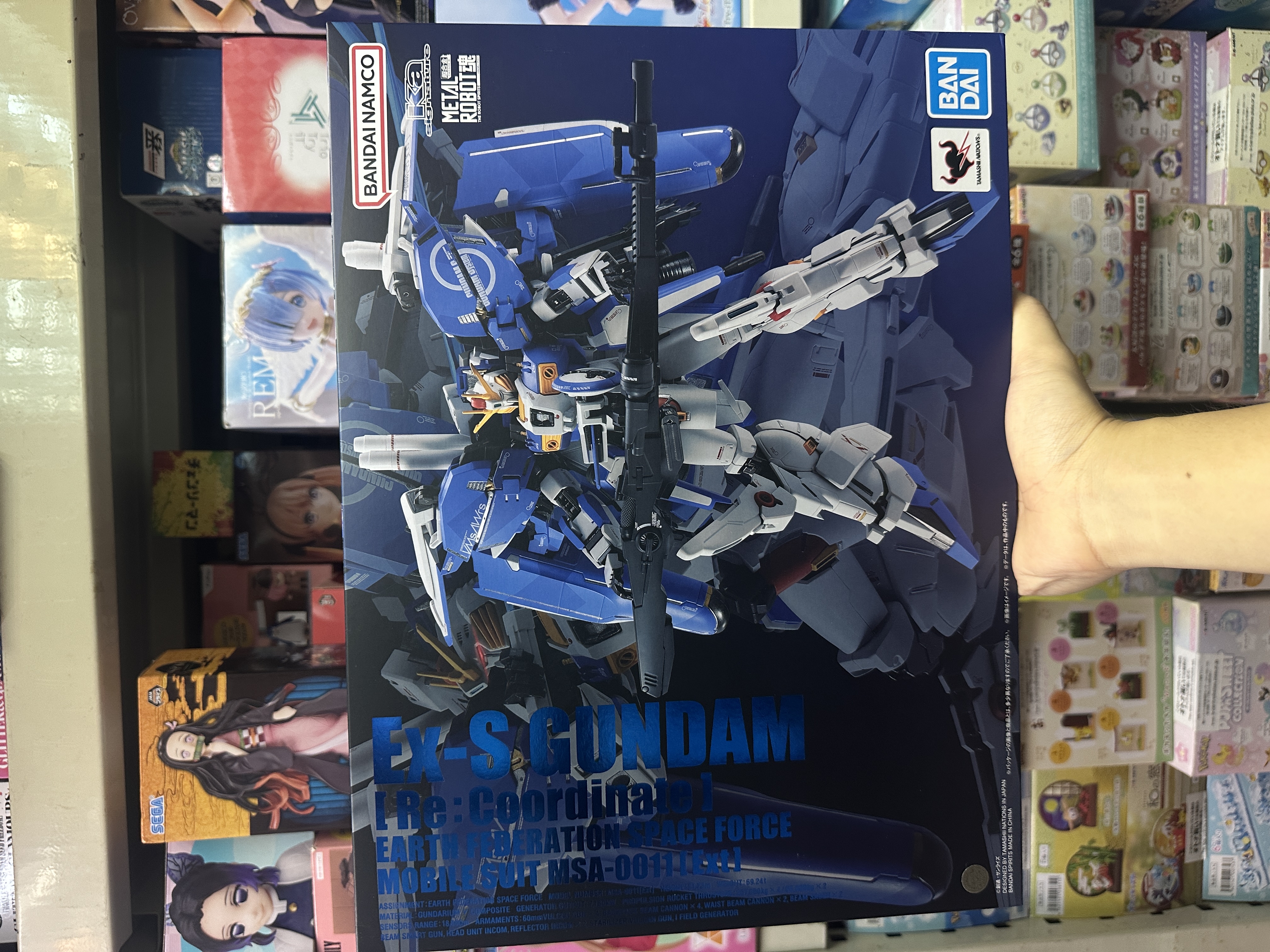 現貨 Bandai Metal Robot魂 EXS 高達 EX-S ver. ka