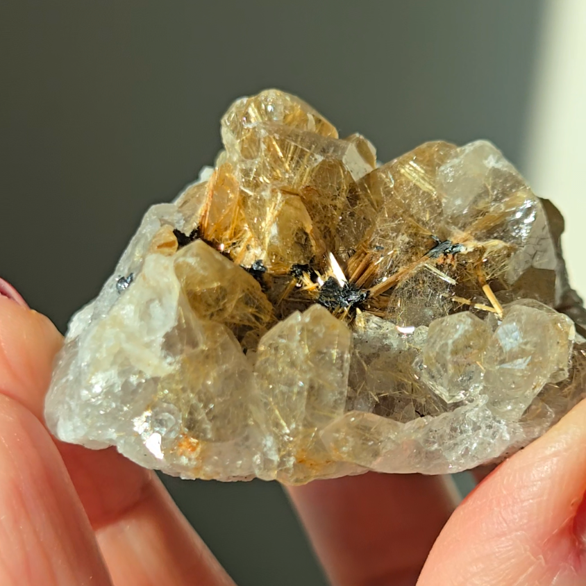 Golden starburst black hematite flower rutile quartz - RT1432