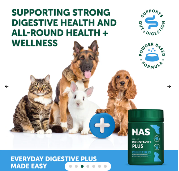 NAS DigestaVite Plus 多元腸道益生菌