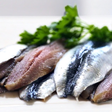 Les Queues de こぼれおち Sardines 魚 タイツ 黒 フィッシュ
