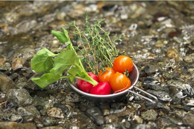 [現貨] [日本直送] 多啦A夢金屬杯 {TF153283}