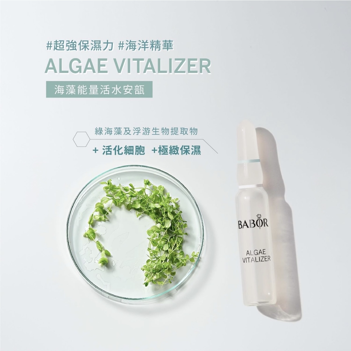 🇩🇪德國BABOR  海藻能量活水安瓶精華 Algae Vitalizer