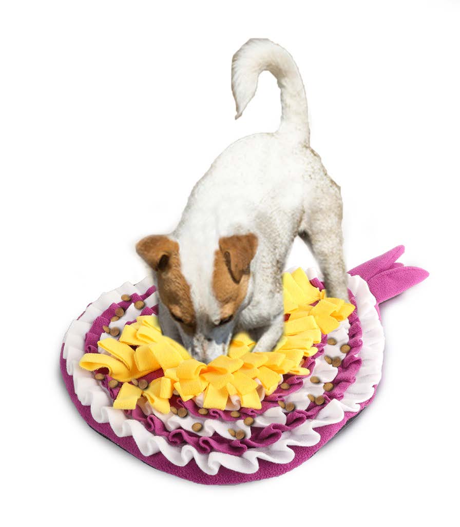 6075 Dig It-Onion snuffle mat 洋蔥寵物餵食訓練墊
