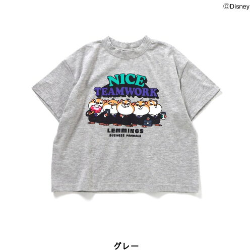 🆕【⭐訂購⭐】🇯🇵 日本直送 🌀#Zootopia Q版圖案 短袖TEE [4款選]🌀 [ELCA-0127][260401]