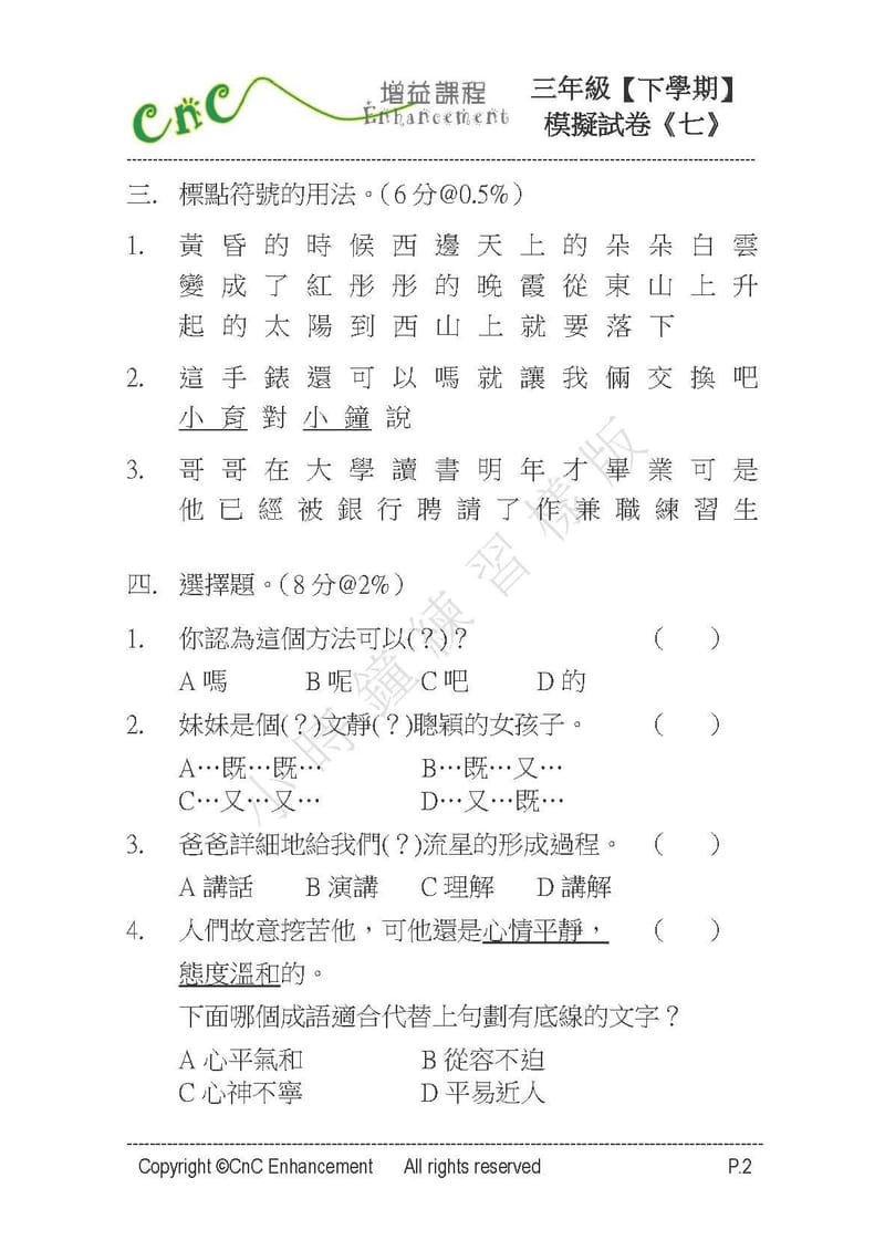  模擬試卷 (三年級)