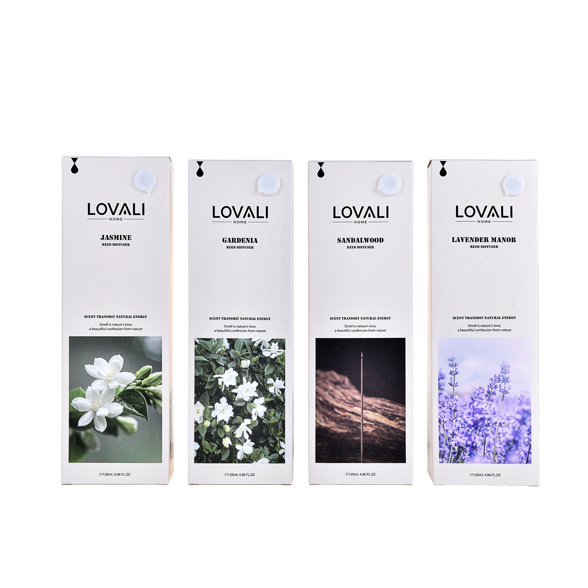 籐枝香薰 Reed Diffuser