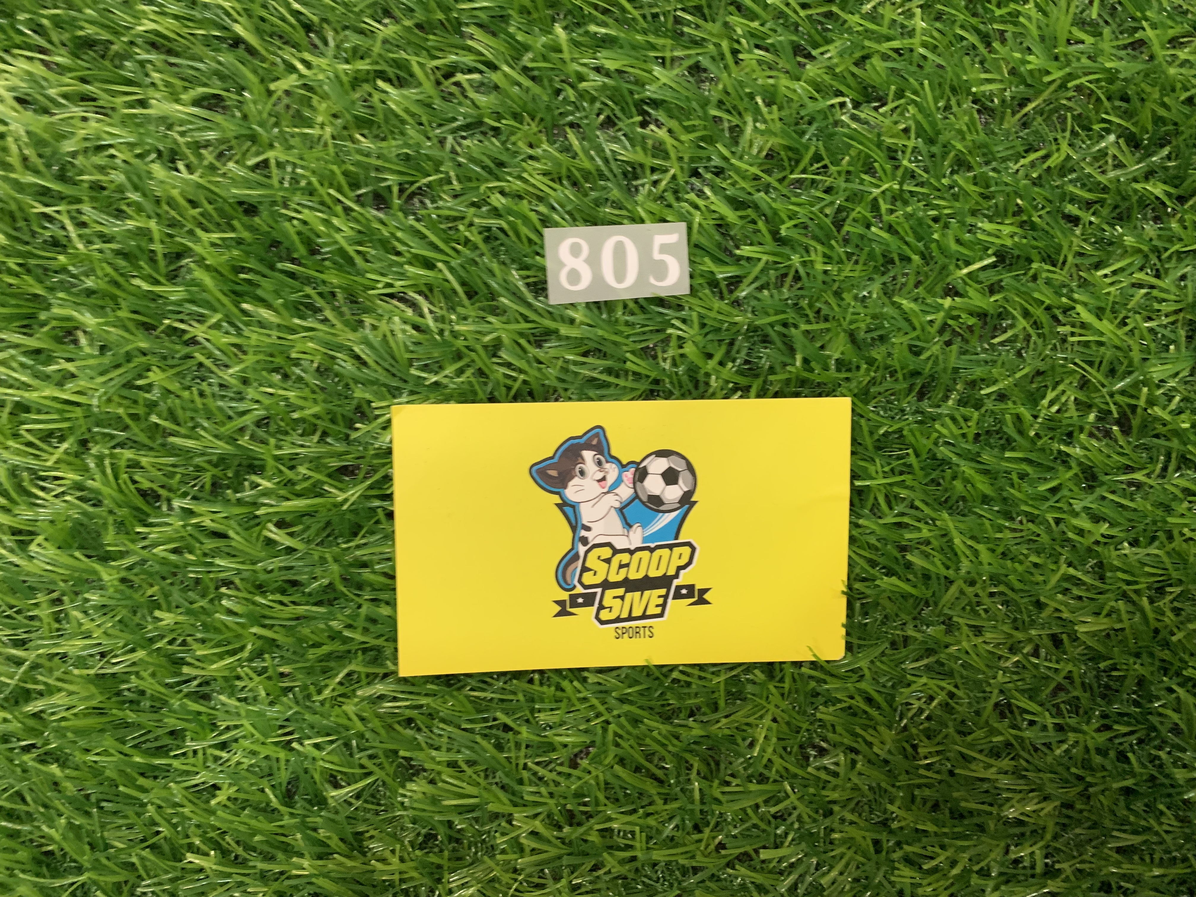 熱刺 DIY 傳奇編號 805 Son 印衫背脊頂部