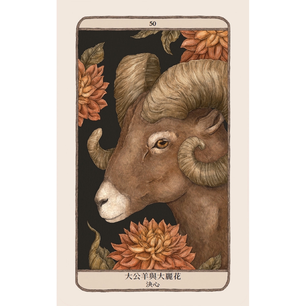 森林守護者神諭卡