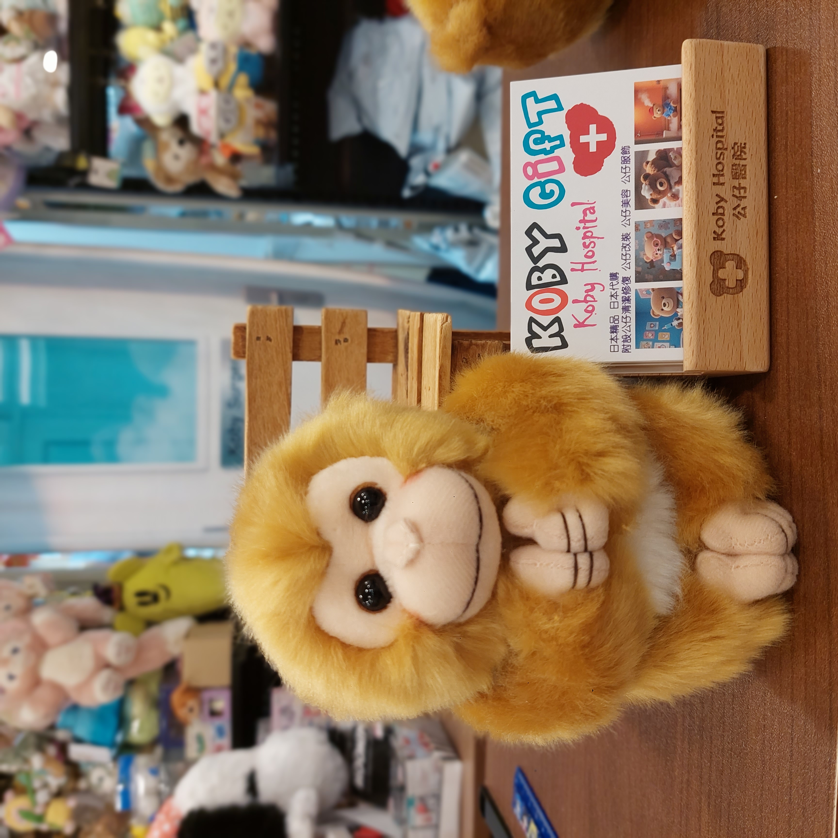 日本 市川動物園  馬騮仔  手仔腳仔都附有磁石 限定款 punchi 君 吊飾, S, M, L 四個 Size 選