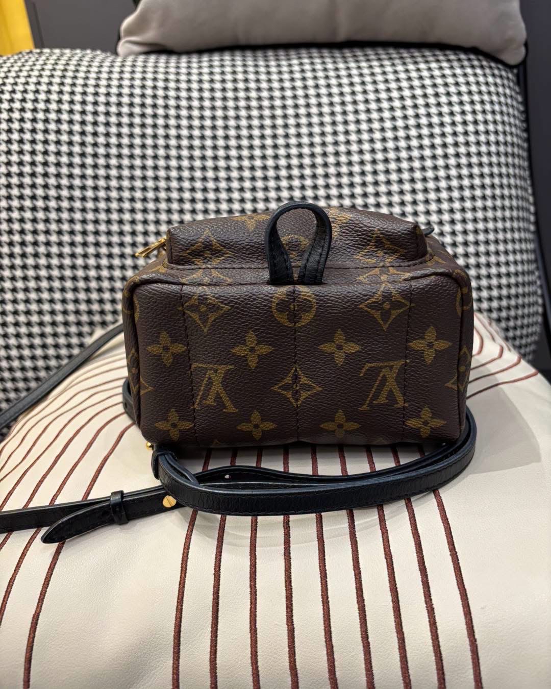 Lv mini Palm Springs backpack  100%Authentic, 95%New ✅Dust bag