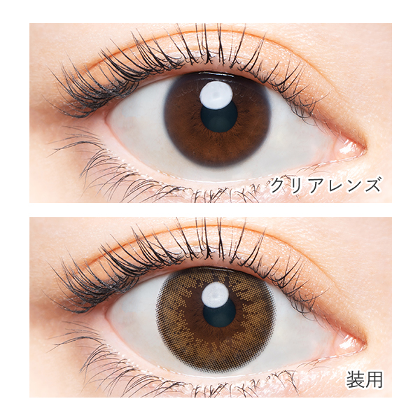 AngelColor Bambi Series - Natural Brown (1day/10P)