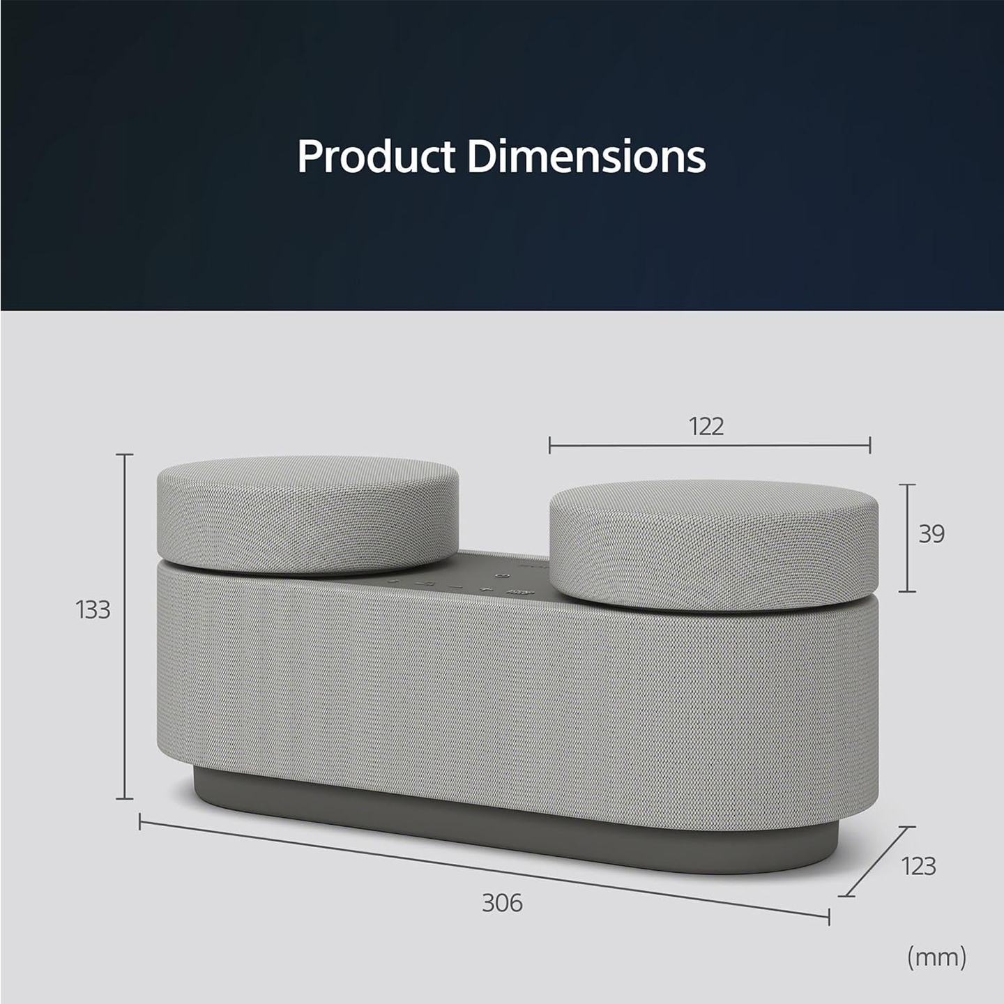 Sony Portable Theatre System Wireless Audio (HT-AX7)