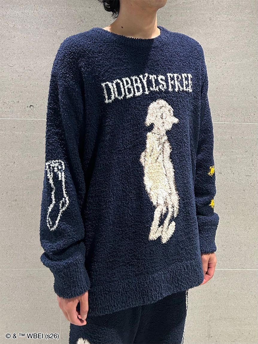 圖案針織毛衣 Motif Knit Pullover｜SNIDEL HOME X 哈利波特 聯名 第5彈 (Harry Potter)【預購】 (26192-P）