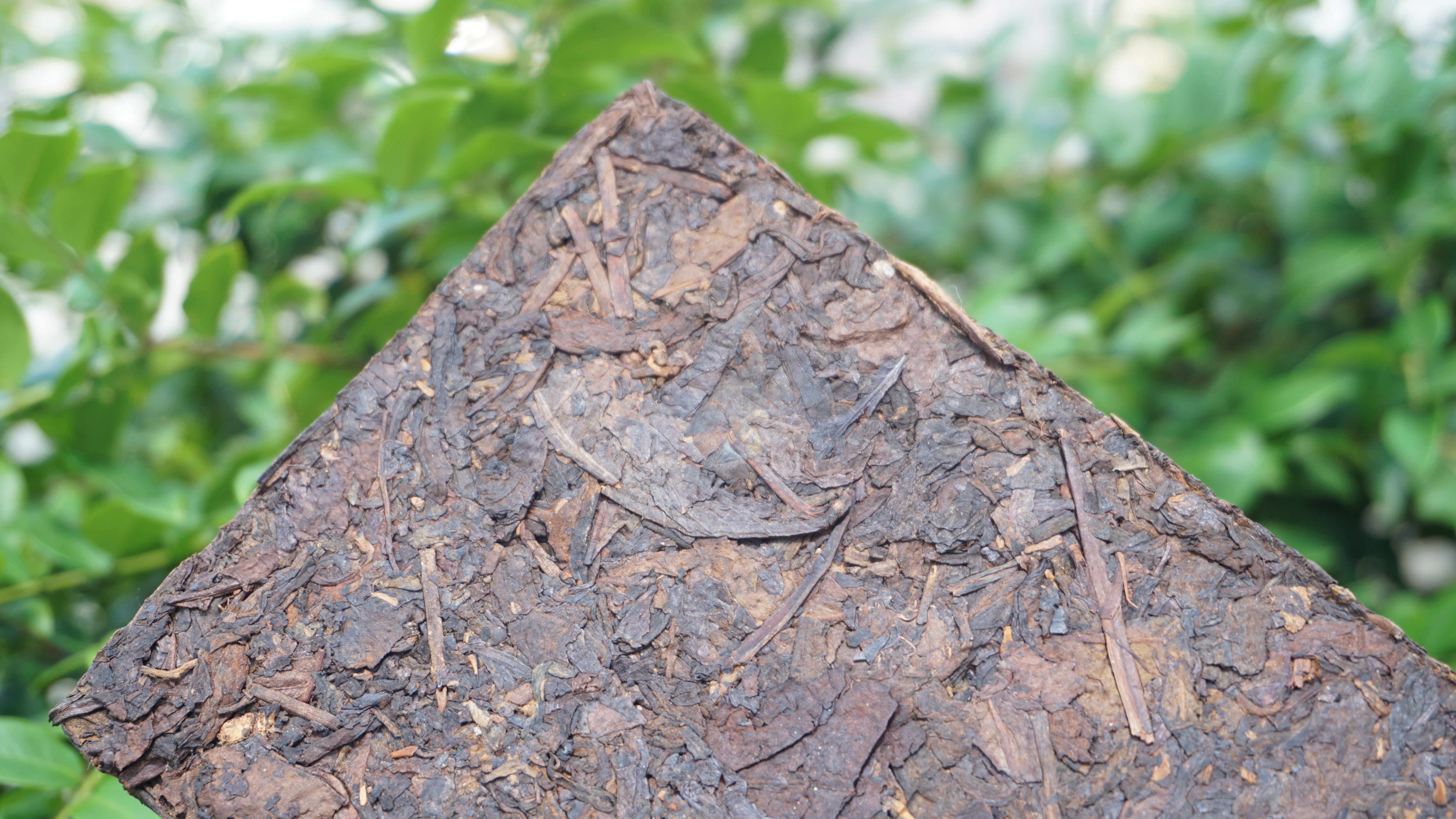 2006年 普洱茶- 易武野生熟磚