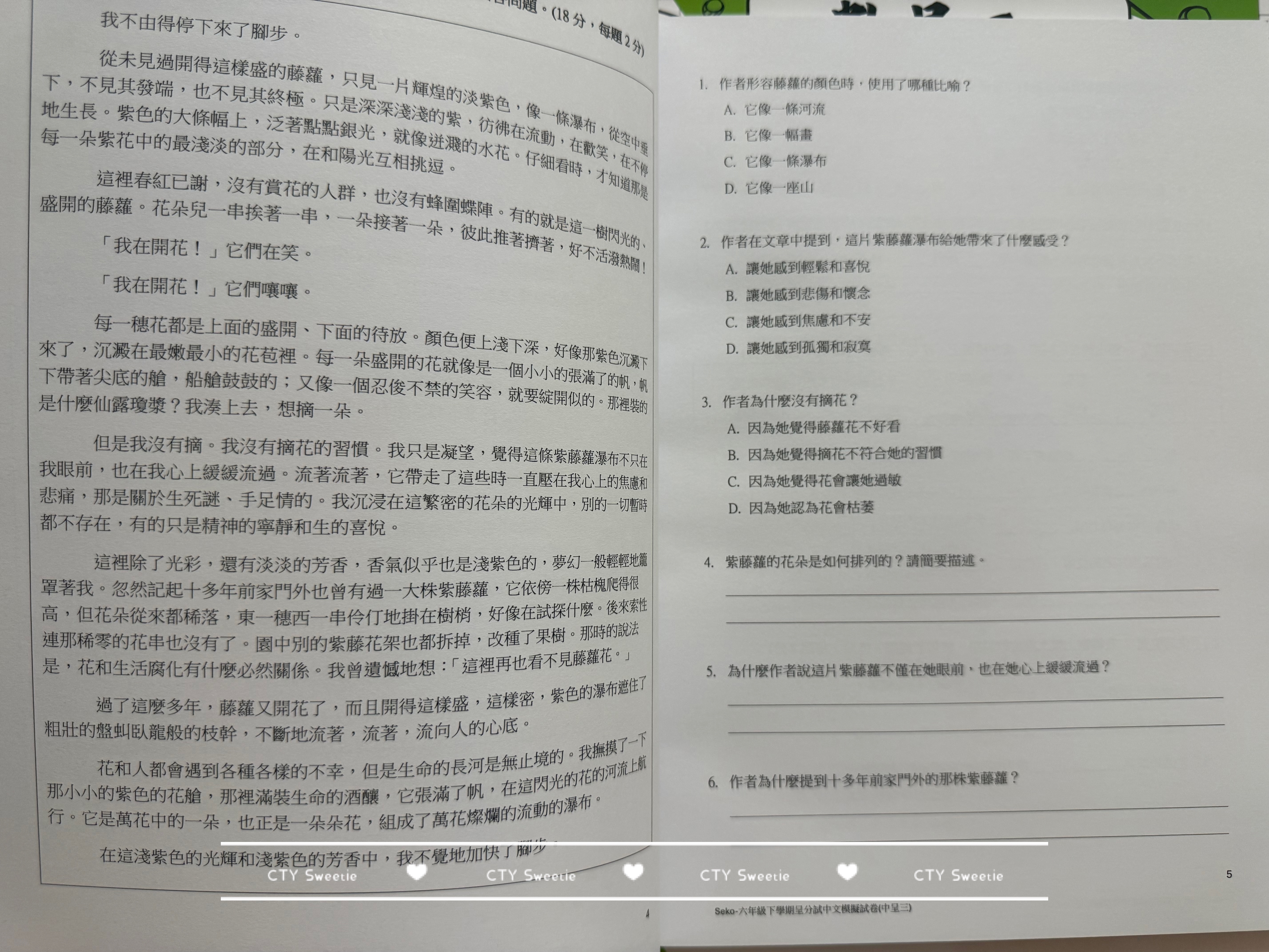 呈分試操卷套餐-中英數呈一二三共9本
