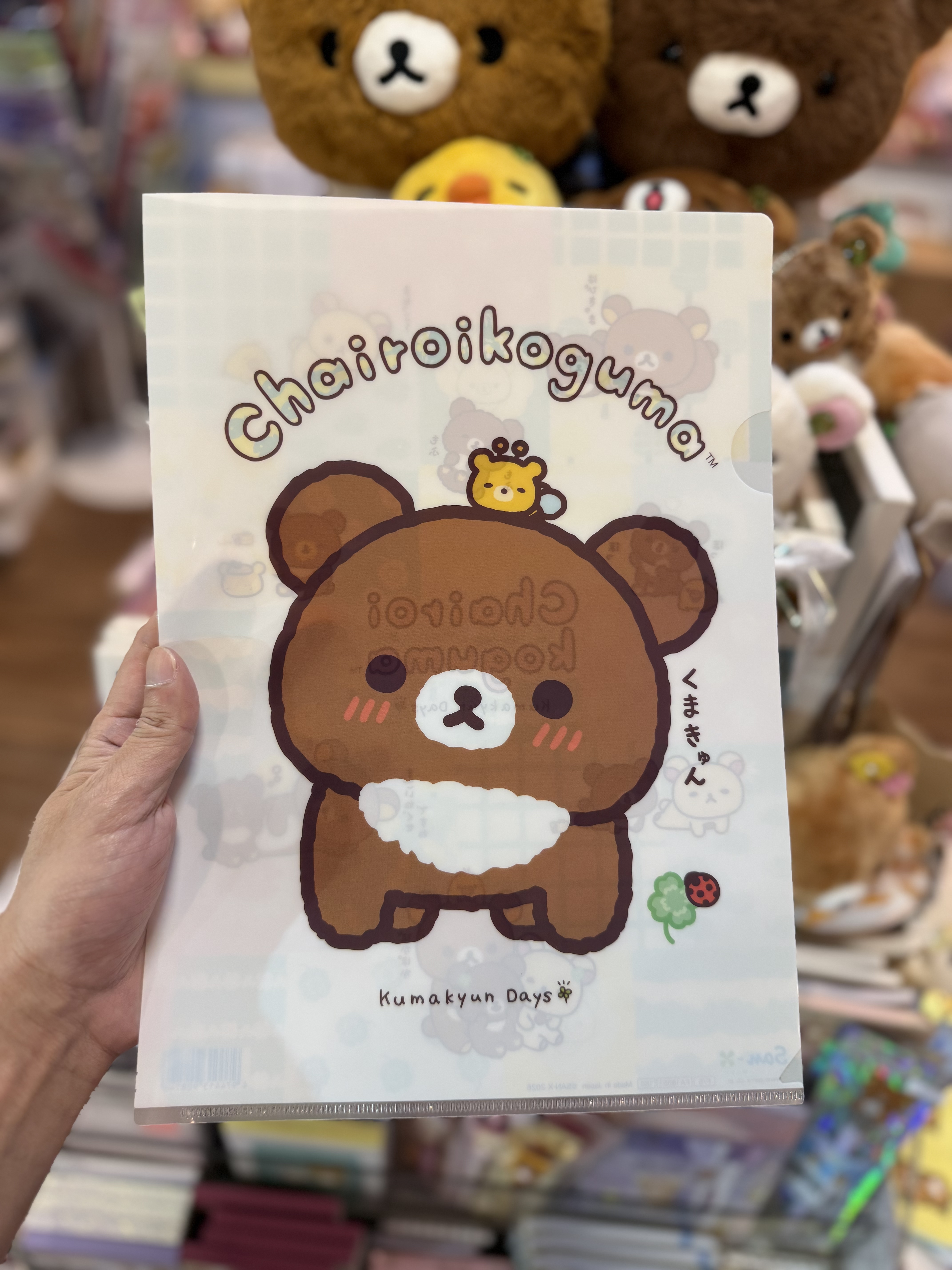 《現貨》全新小熊10週年紀念四葉草系列A4 file