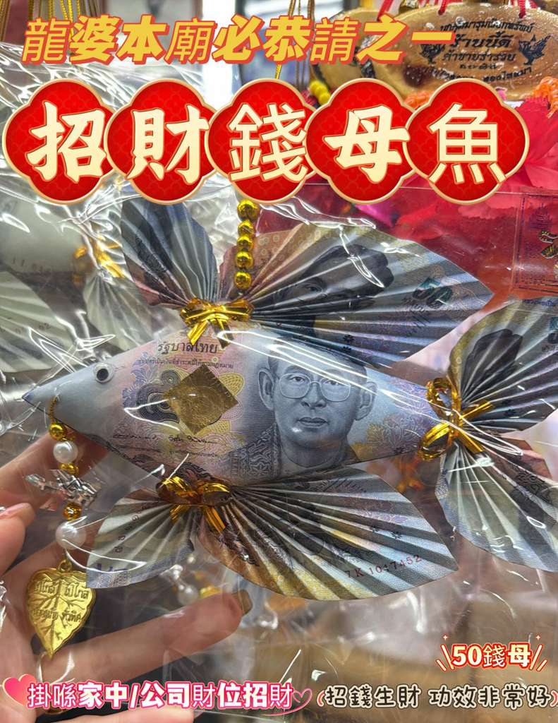 ✴️龍婆本廟供請✴️ 招財錢母魚✨