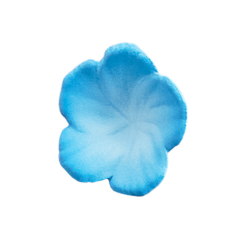 (預訂訂金 $700) (總價 $1590) 角川 KADOKAWA KDcolle 異世界情緒 普遍體 「Nemophila」 (行版) 