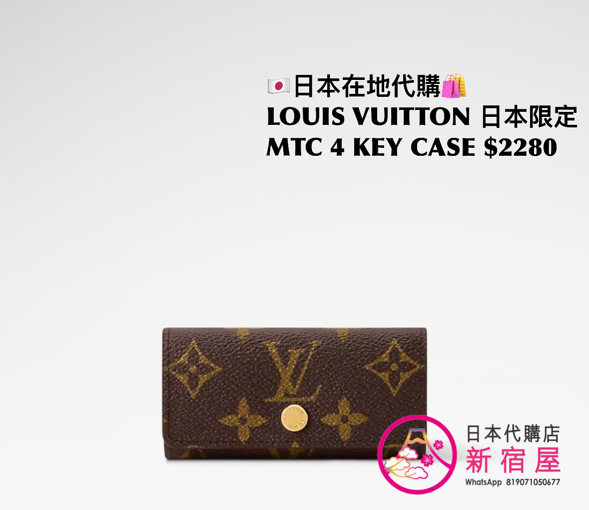 LOUIS VUITTON MULTICLES 4 KEY CASE