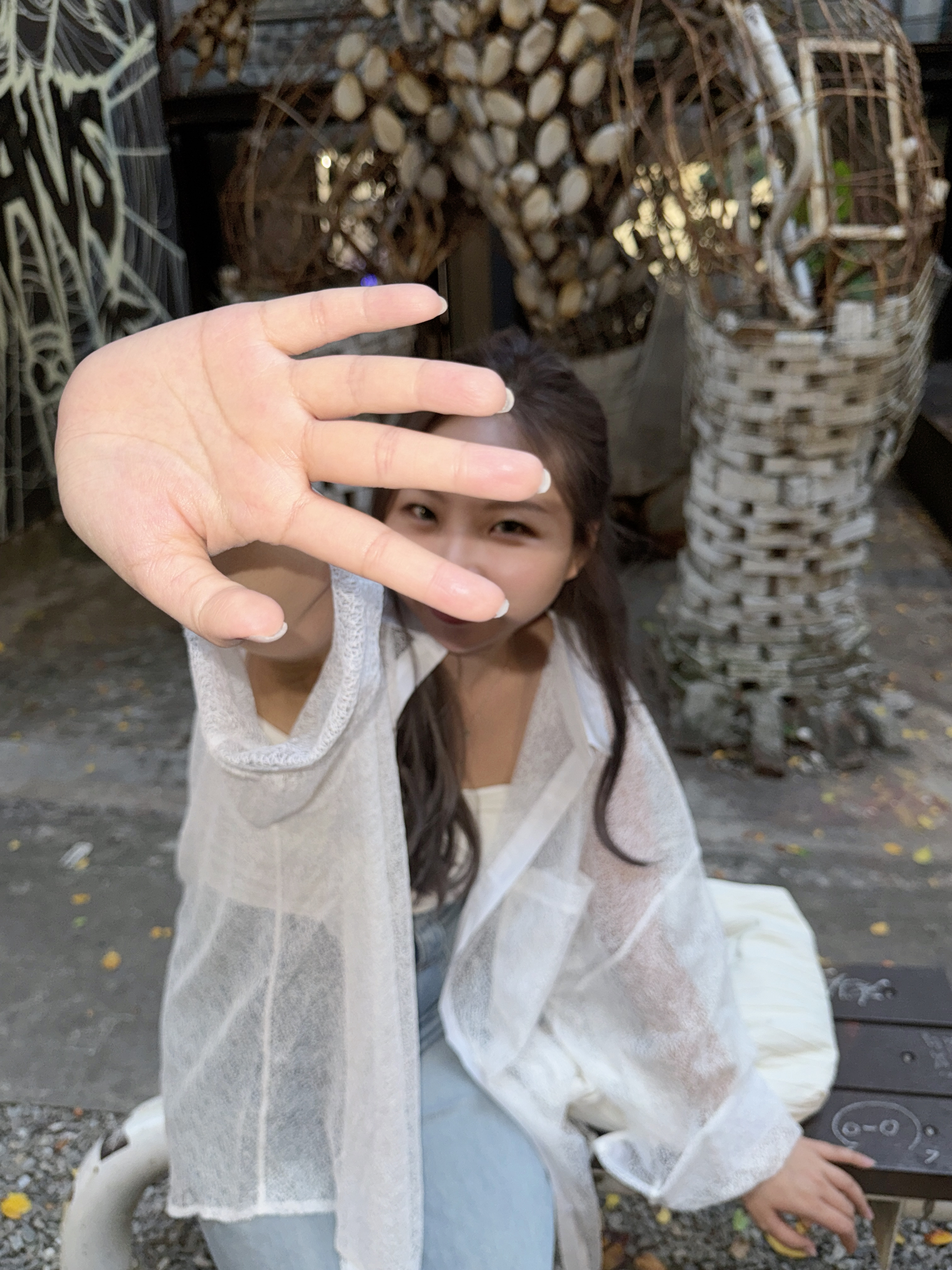 現貨✨台灣自訂✨透明樹枝恤衫