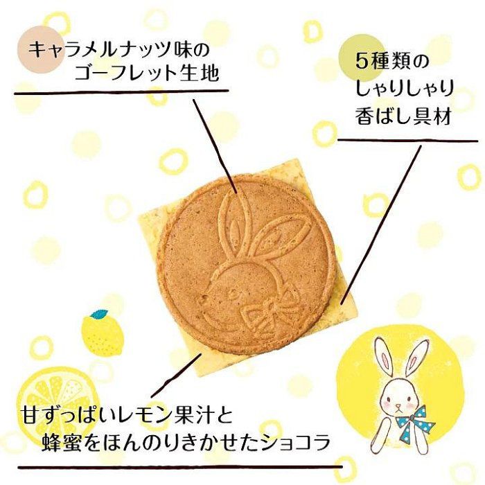日本直送【鎌倉五郎-夏季限定：蜂蜜檸檬脆脆五重奏 厚切朱古力夾心 薄脆法蘭酥餅 禮盒 8入】