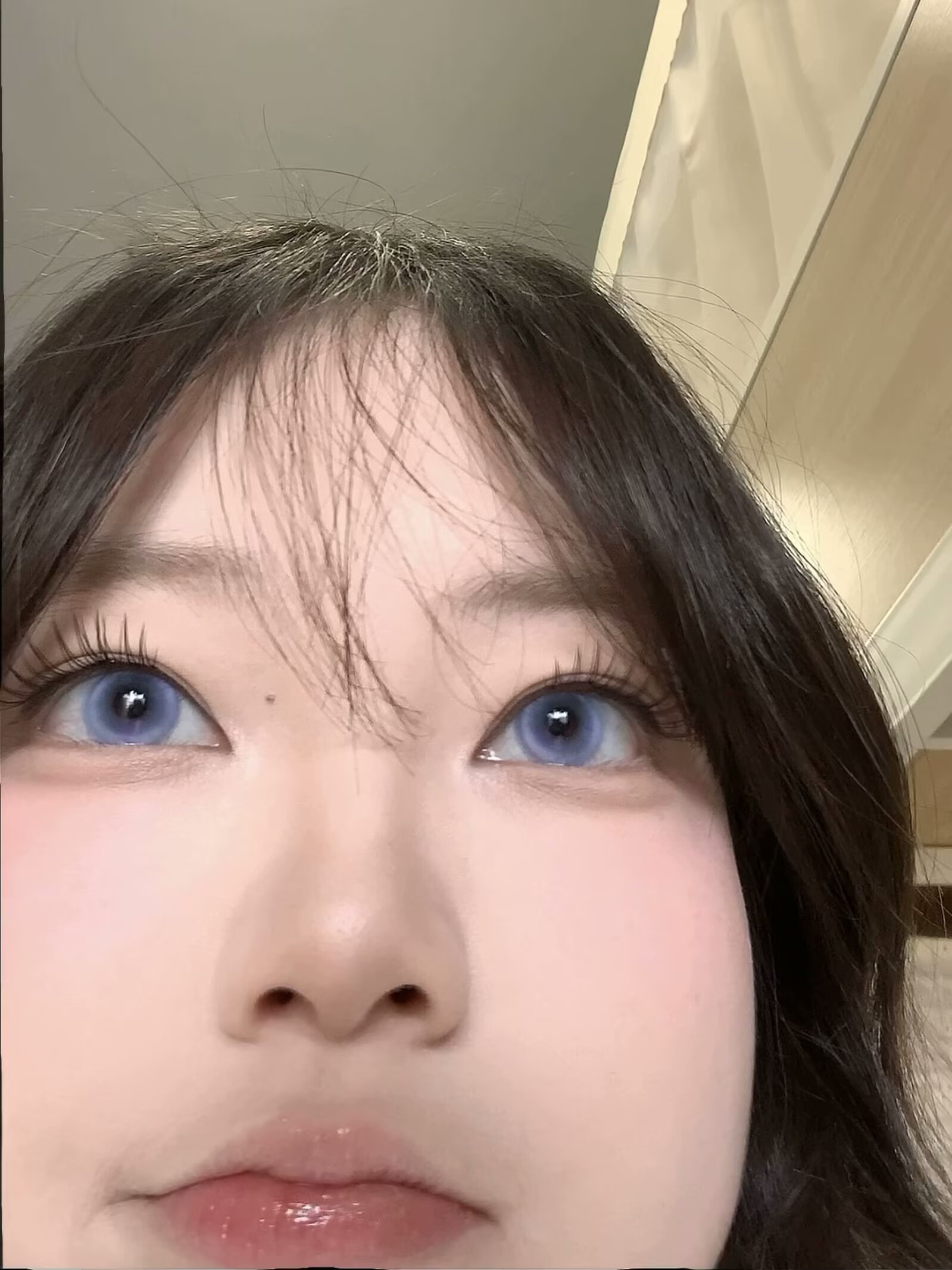 EggUncle 半年拋 小狗火龍果/失焦庇護所