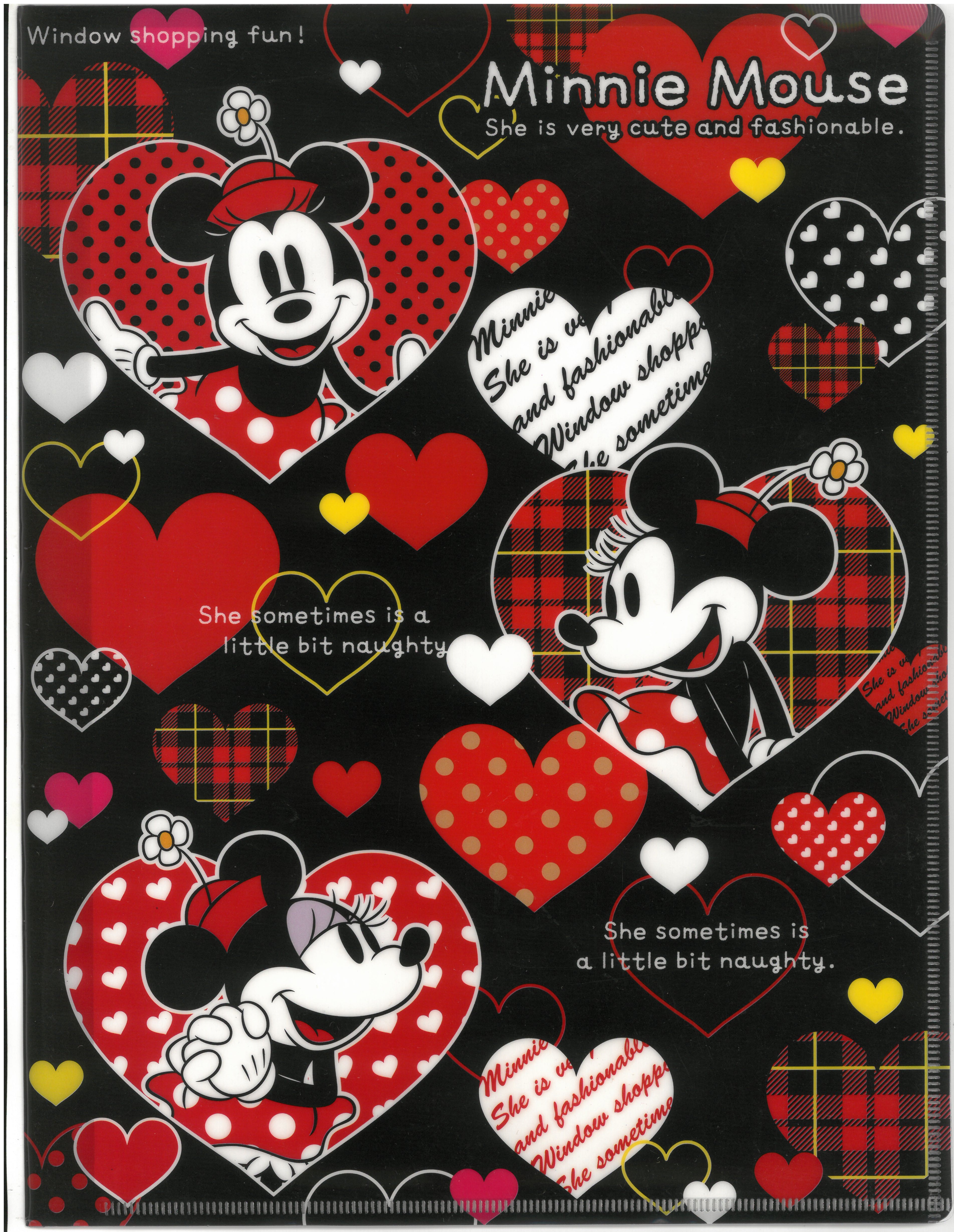 Mickey And Minnie Mouse10人資料冊 (S2144450)