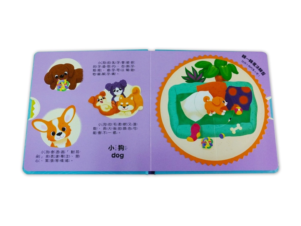 京采 我的魔法轉轉書：可愛寵物