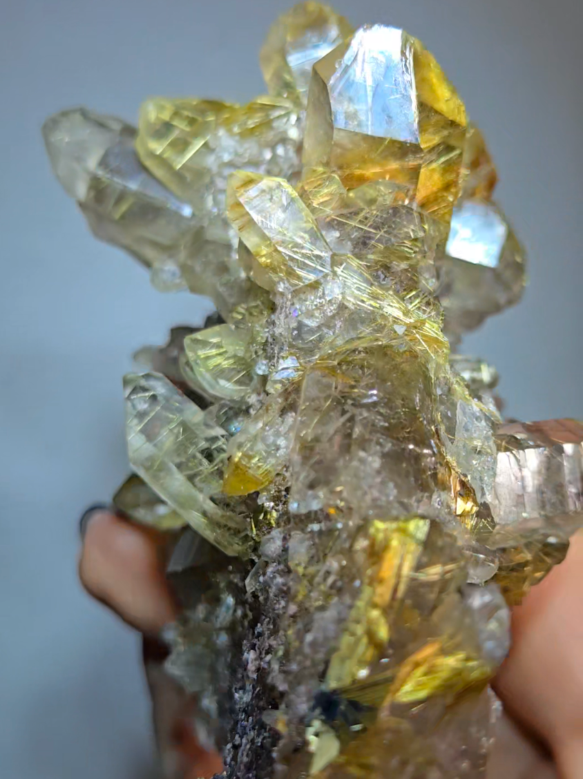 High-grade golden starburst rutiles on black hematite in quartz - RT1434